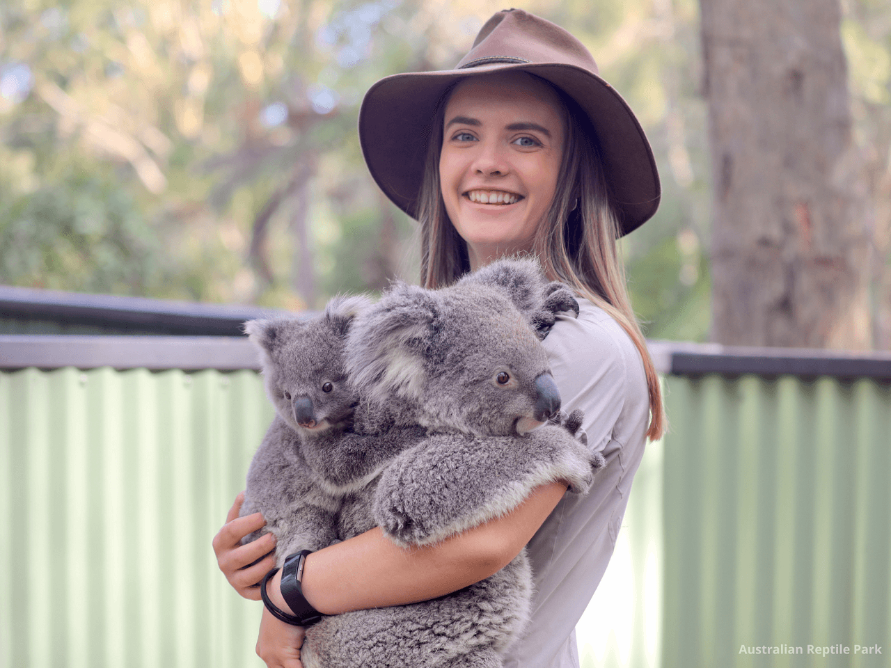 Australian Reptile Park - تصویر 17