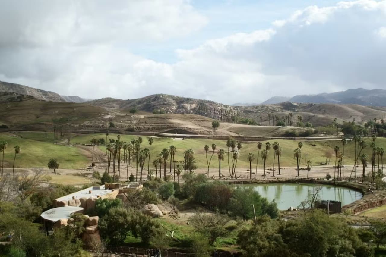 2-Visit Pass: San Diego Zoo + San Diego Zoo Safari Park Tickets - تصویر 15