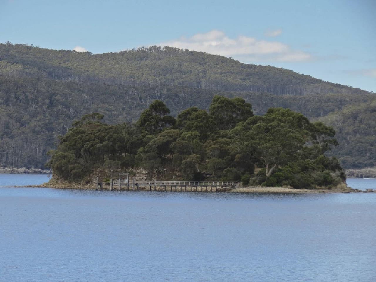 Full Day Port Arthur Tour - تصویر 6