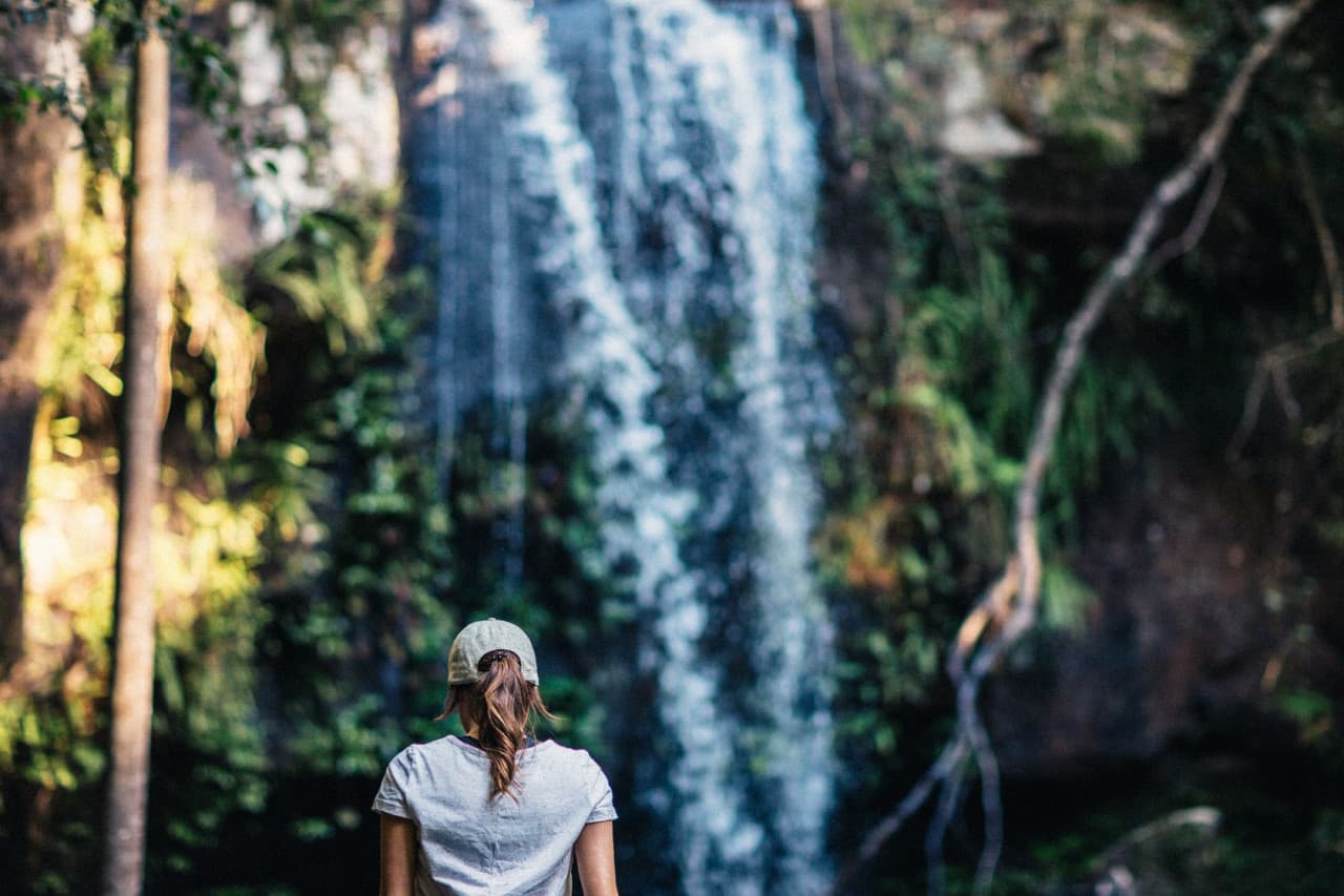 Tamborine Mountain Guided Walk and Wine Tasting Tour - تصویر 5