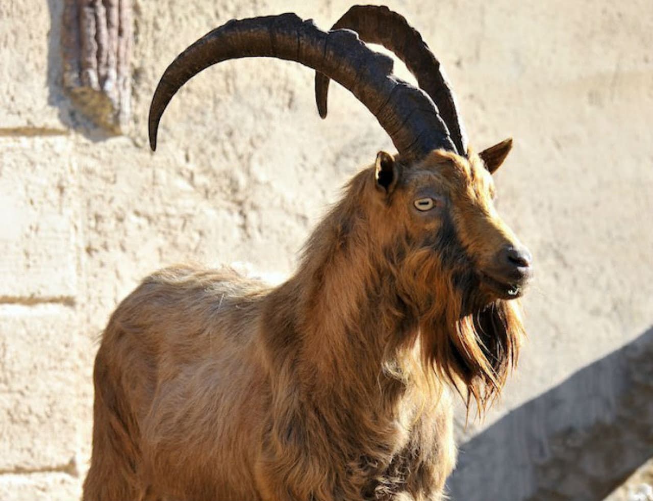 Bioparco: The Zoo of Rome - تصویر 10
