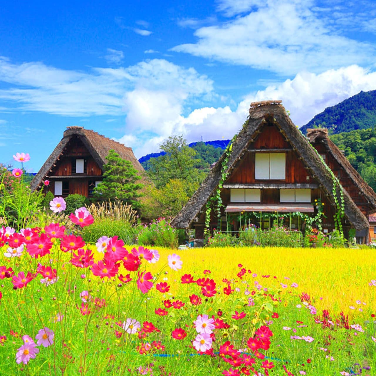 Takayama City and Shirakawa Gassho Village Full-Day Tour from Nagoya - تصویر 2