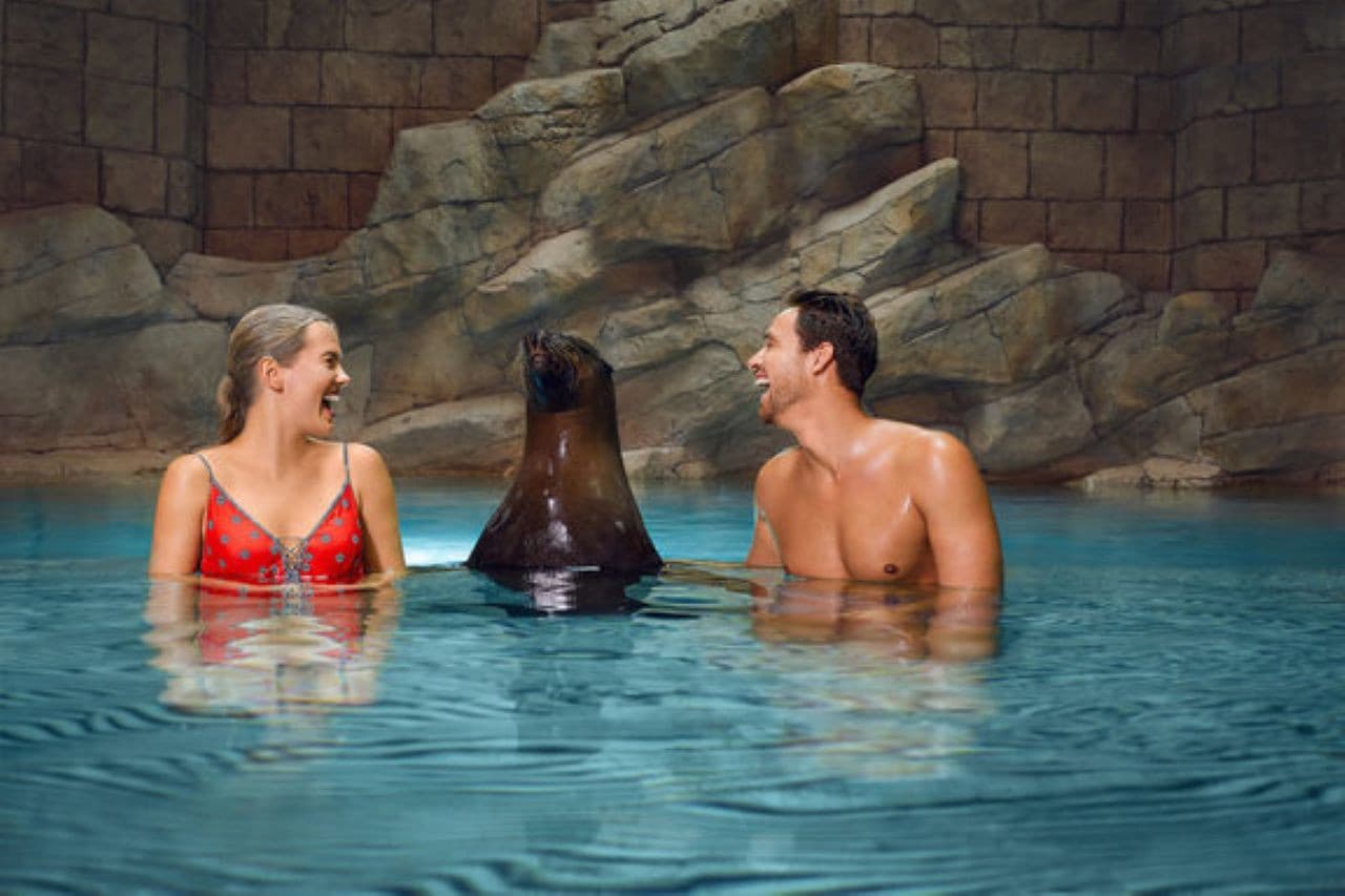 Atlantis Aquaventure World Dubai - Dolphin and Sea Lion Experiences at Atlas Village - تصویر 4