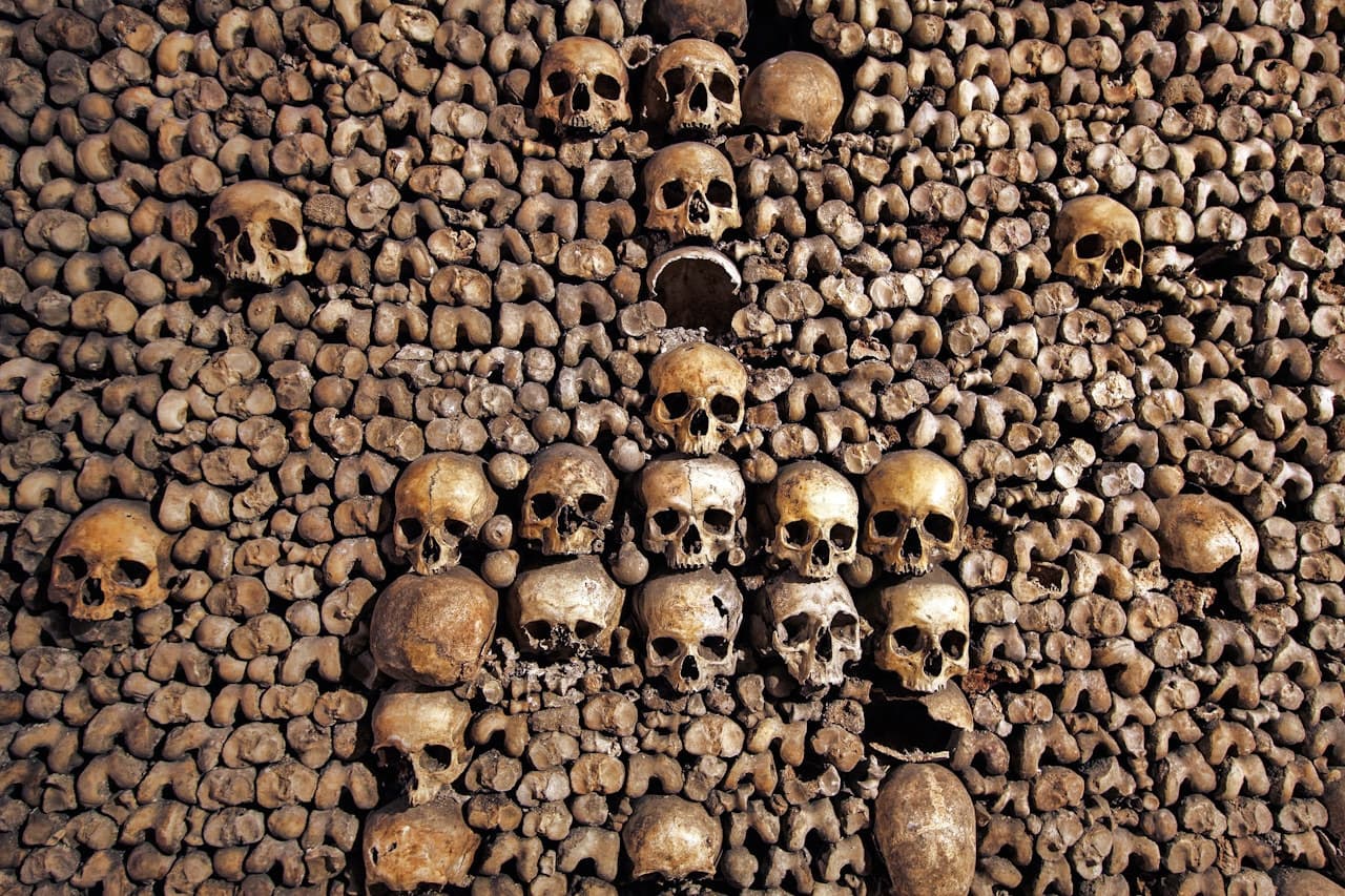 The Paris Catacombs - Skip-the-line with Audio Guide - تصویر 3