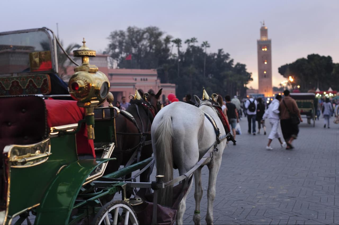 Marrakech Tour: Koutoubia Mosque, El Bahia Palace, Menara Gardens, Djemaa El Fna Square - تصویر 5