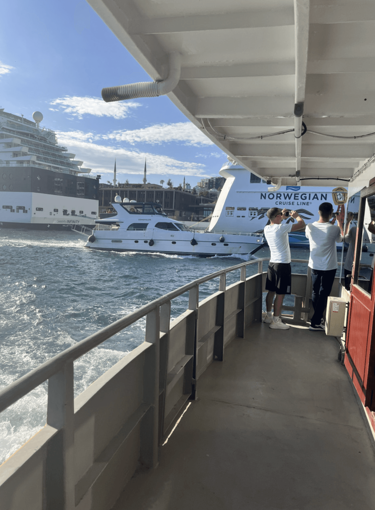 Golden Horn and Bosphorus Sightseeing Cruise with Audio Guide - تصویر 8