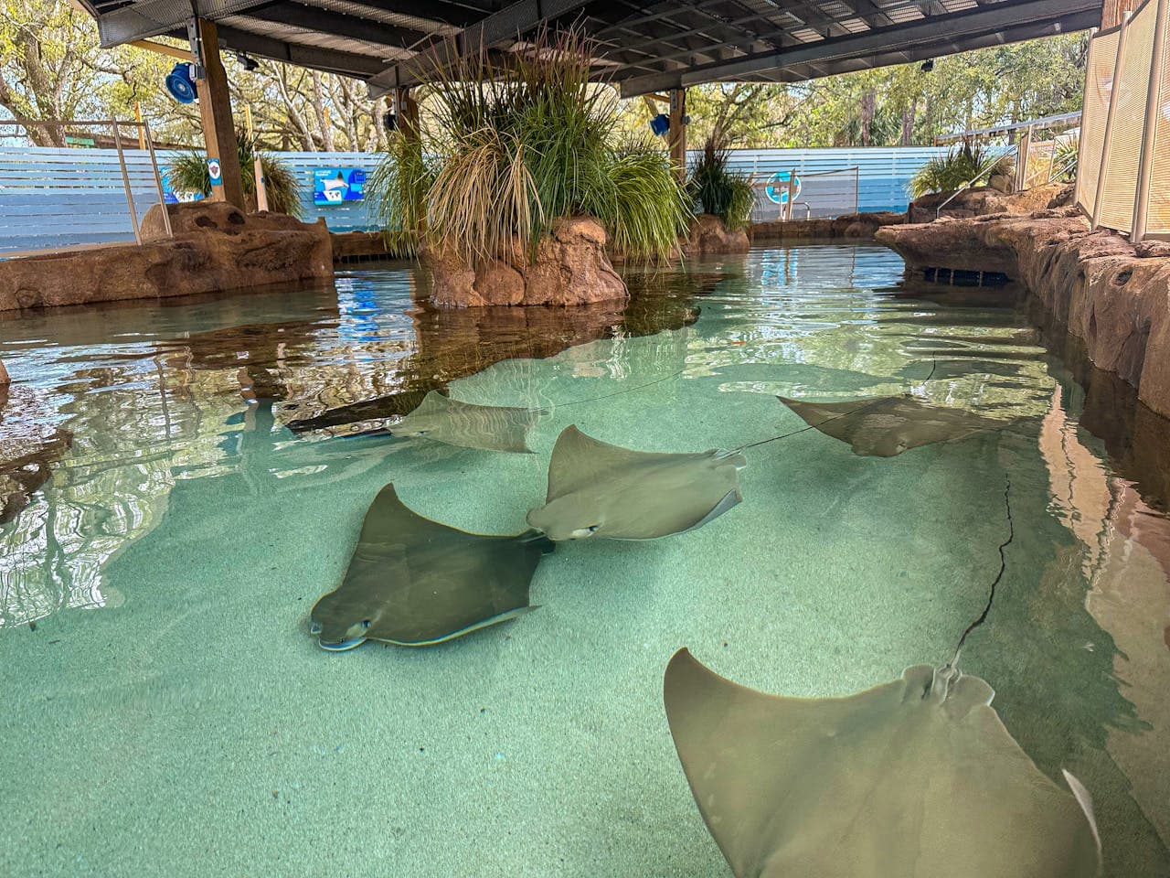 ZooTampa at Lowry Park Ticket - تصویر 9