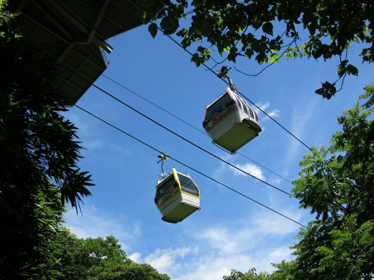 COMBO: Taipei Zoo + Maokong Gondola - تصویر 4