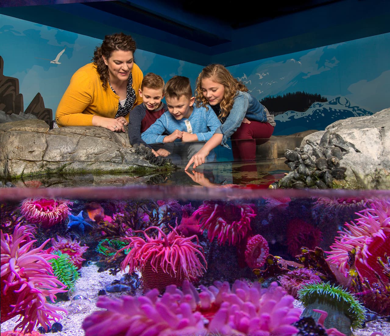 COMBO: Madame Tussauds Orlando + SEA LIFE Orlando Aquarium Ticket - تصویر 12