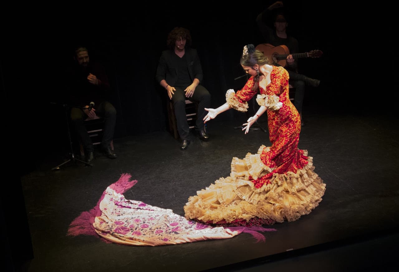 Flamenco Show at Triana Theater - تصویر 3
