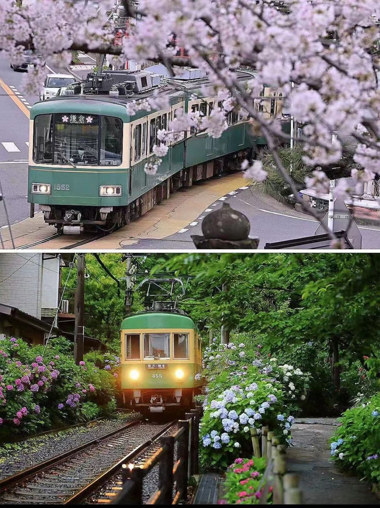 Kotoku-in Temple and Enoshima Day Tour from Tokyo - تصویر 6