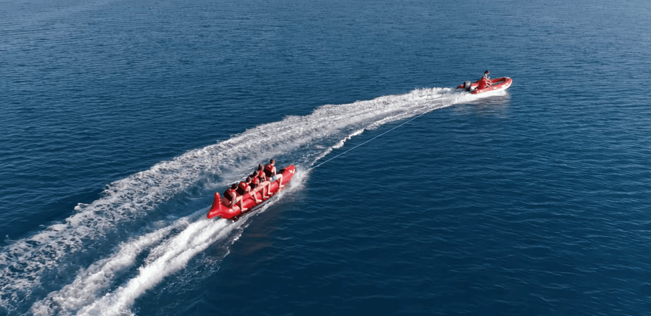 Tongarra Day Sailing Tour - تصویر 18