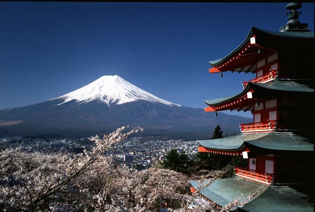 Mount Fuji and Hakone Tour - تصویر اصلی