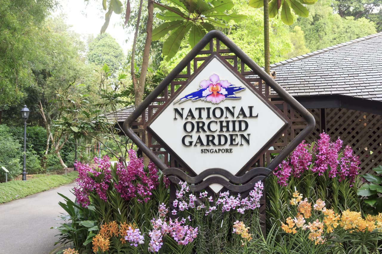 COMBO: Gardens by the Bay + National Orchid Garden Ticket - تصویر 6