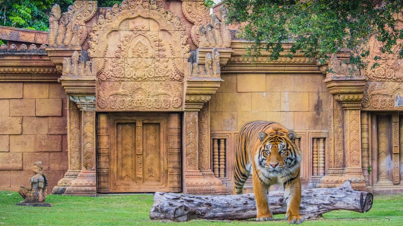 Zoo Miami Ticket - تصویر 3