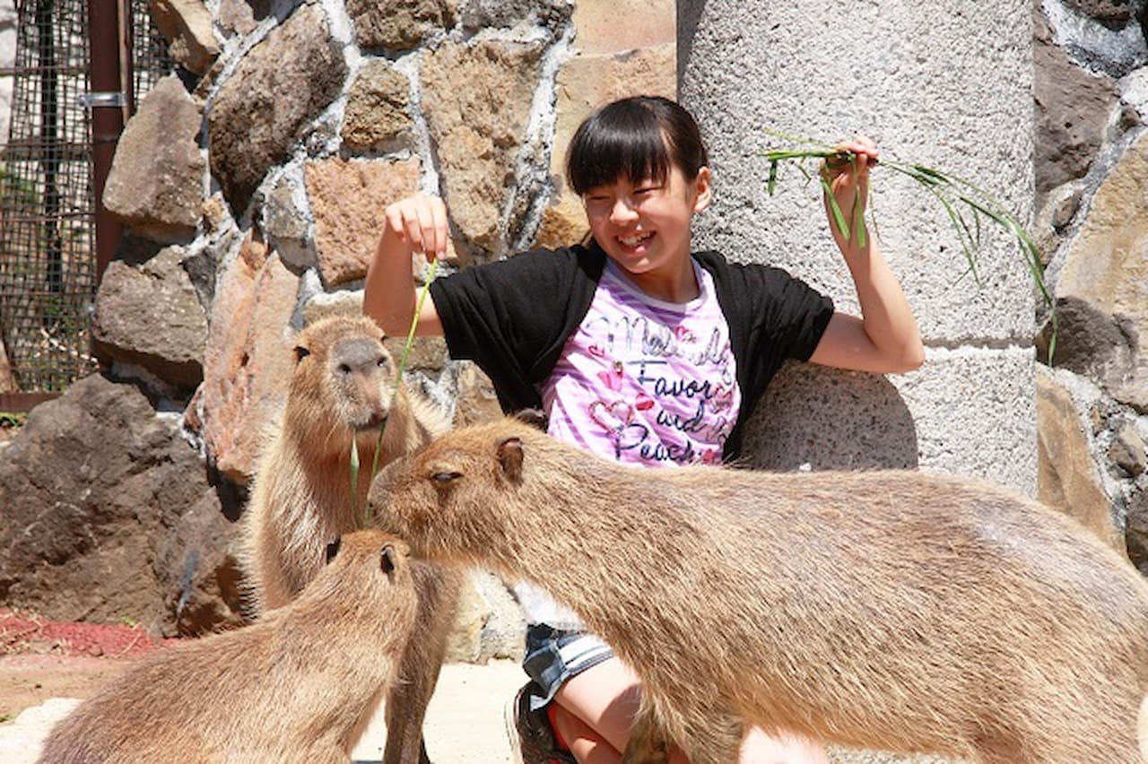 Izu Shaboten Zoo Ticket - تصویر 2