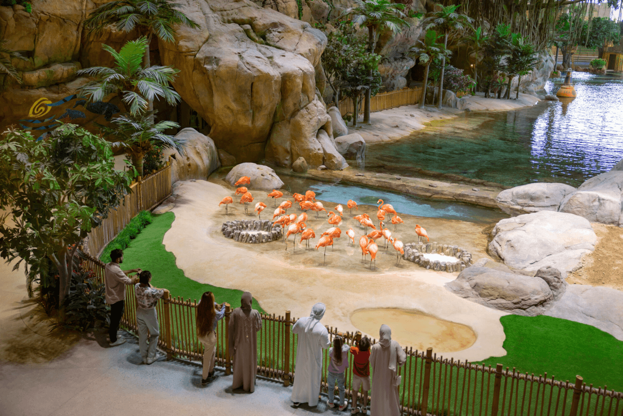 SeaWorld Abu Dhabi Ticket - تصویر 6