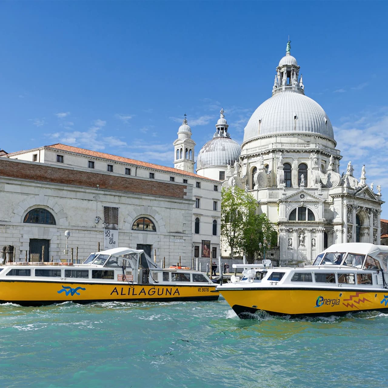 Venice Marco Polo Airport Alilaguna Waterbus Transfers - تصویر 2