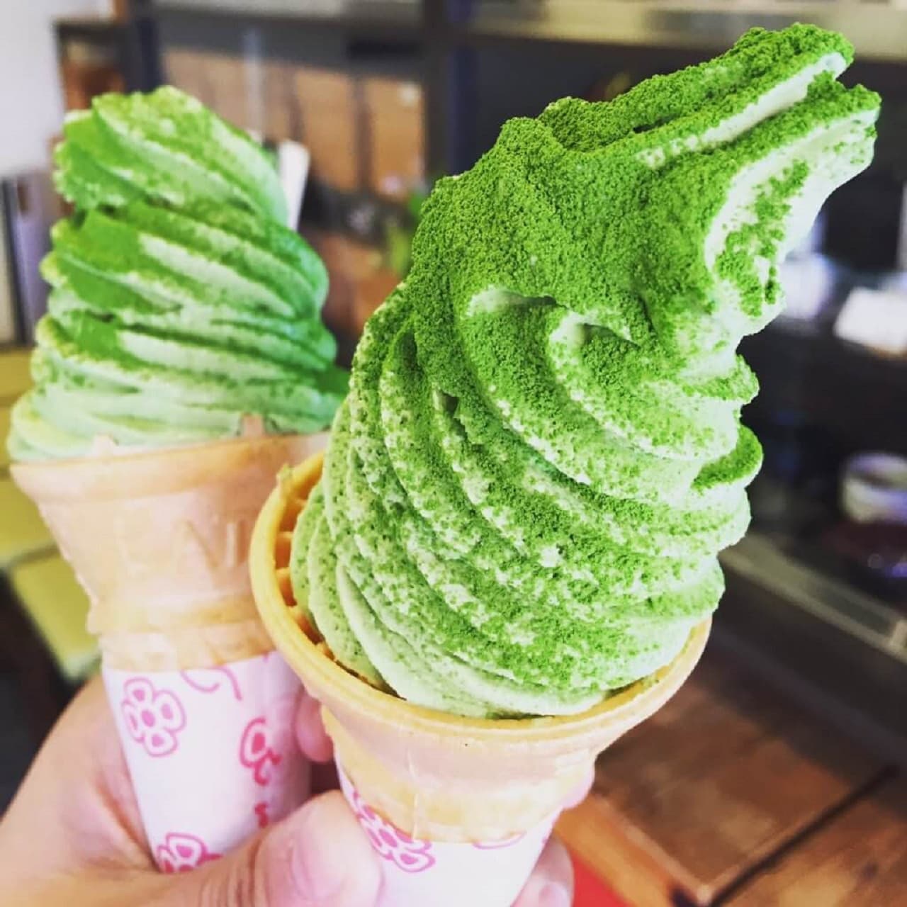 Tokyo Family Food Tour in Asakusa and Sensoji - تصویر 6