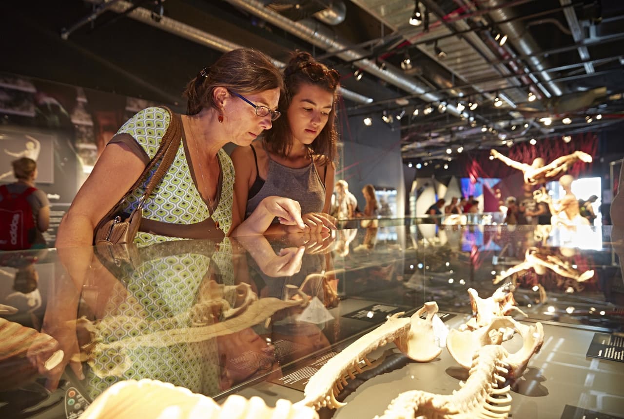BODY WORLDS Berlin - تصویر 2