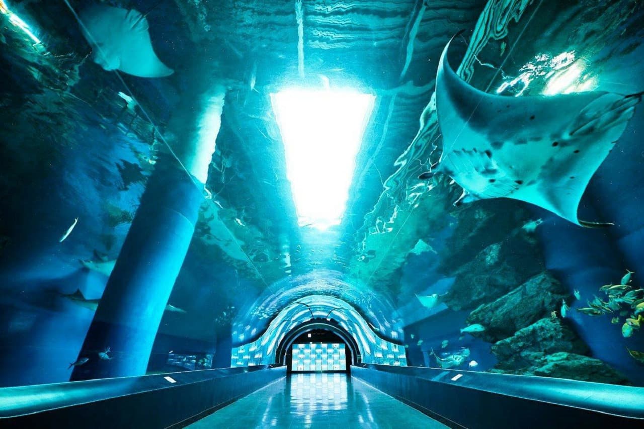 Maxell Aqua Park Shinagawa - تصویر 4