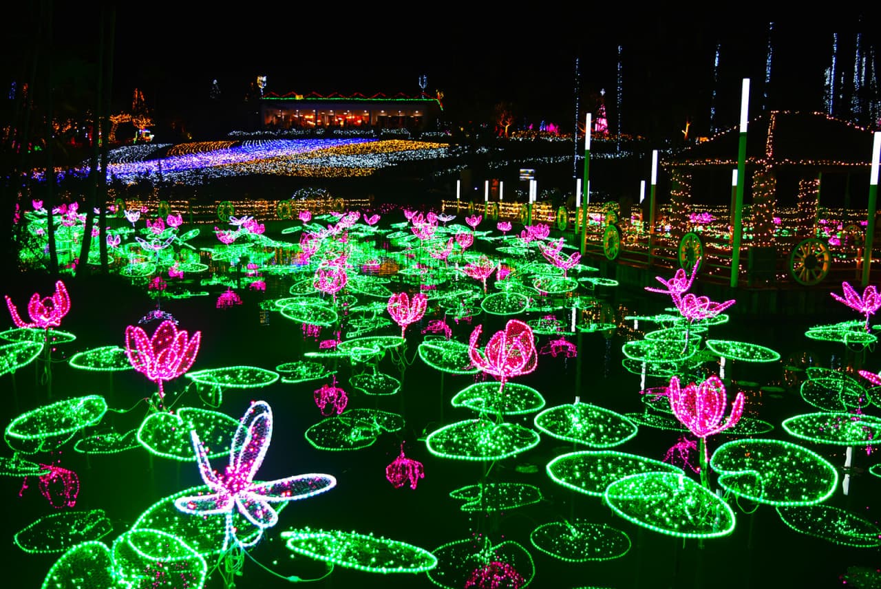 Okinawa Southeast Botanical Gardens - تصویر 16