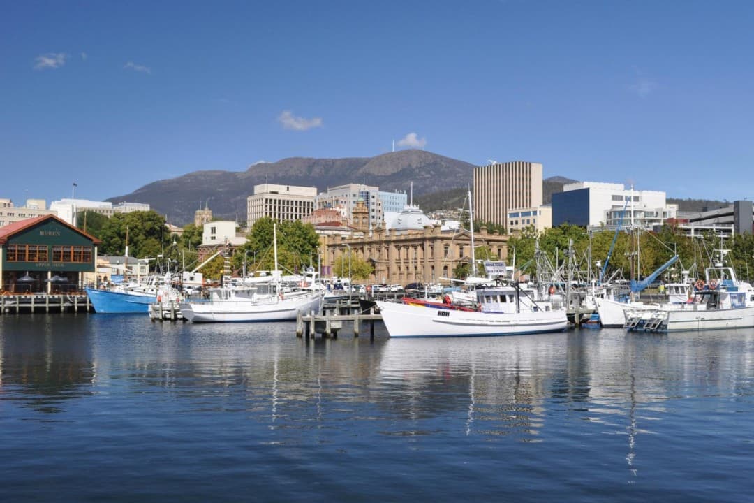 Mount Wellington and Hobart City Tour - تصویر 6