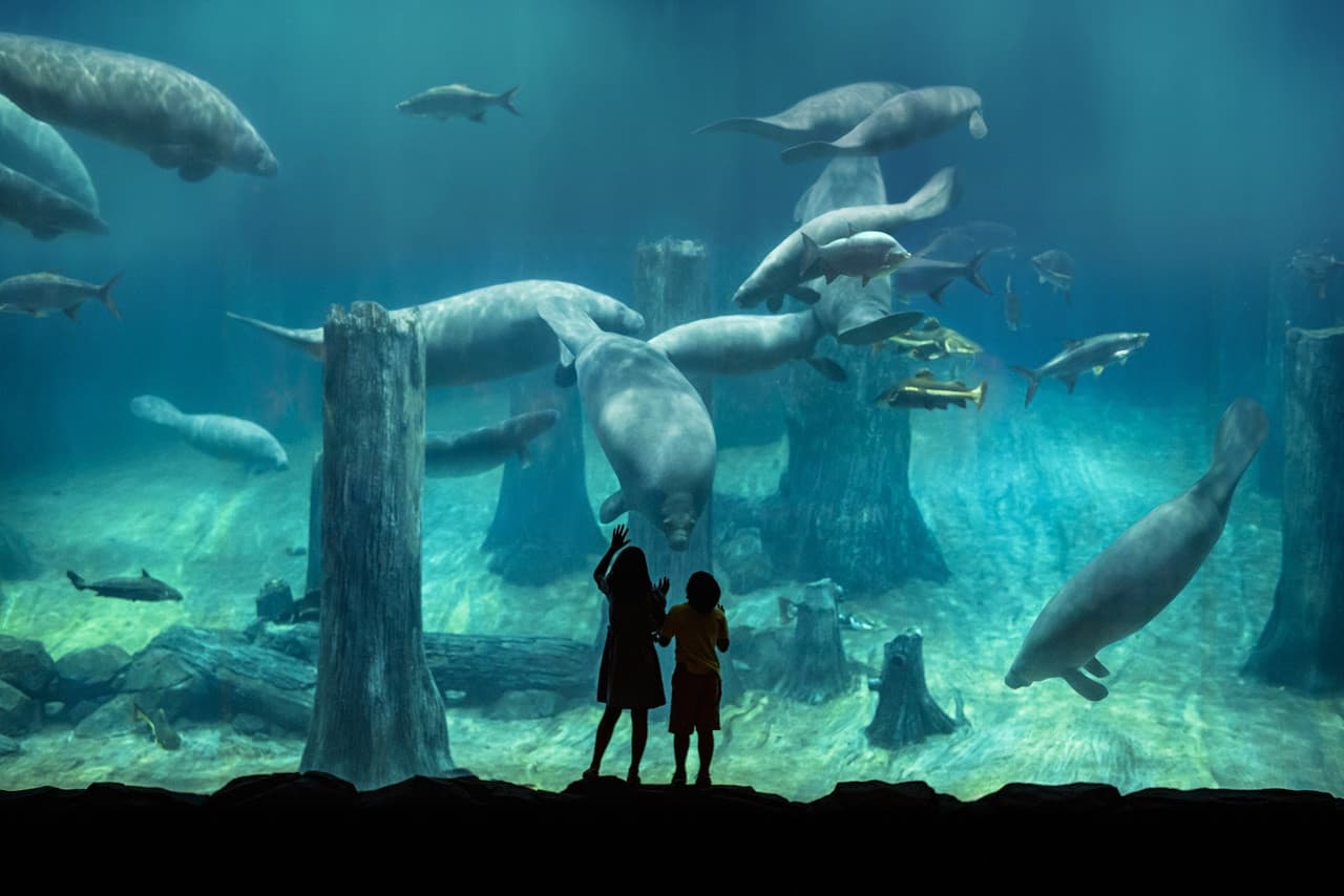 River Wonders Singapore Ticket - تصویر اصلی