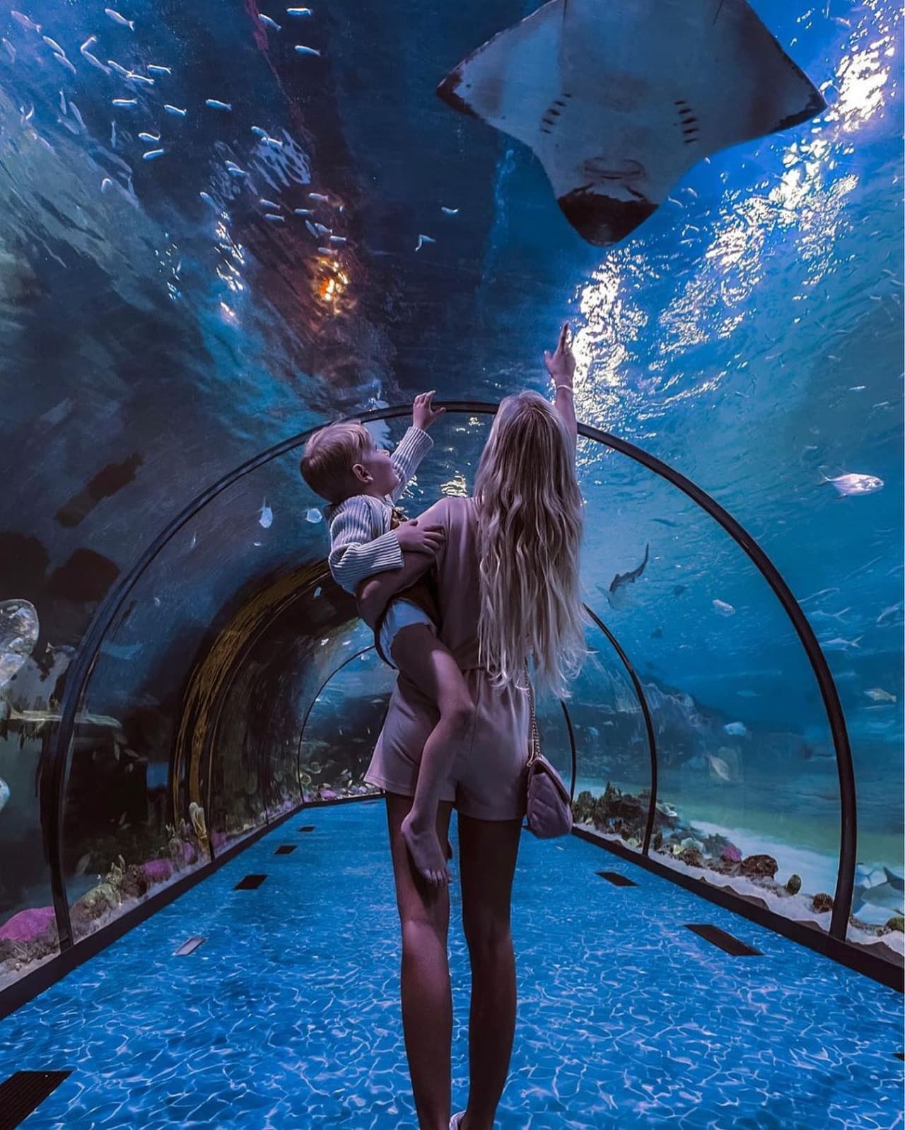 The National Aquarium Abu Dhabi Ticket - تصویر 15