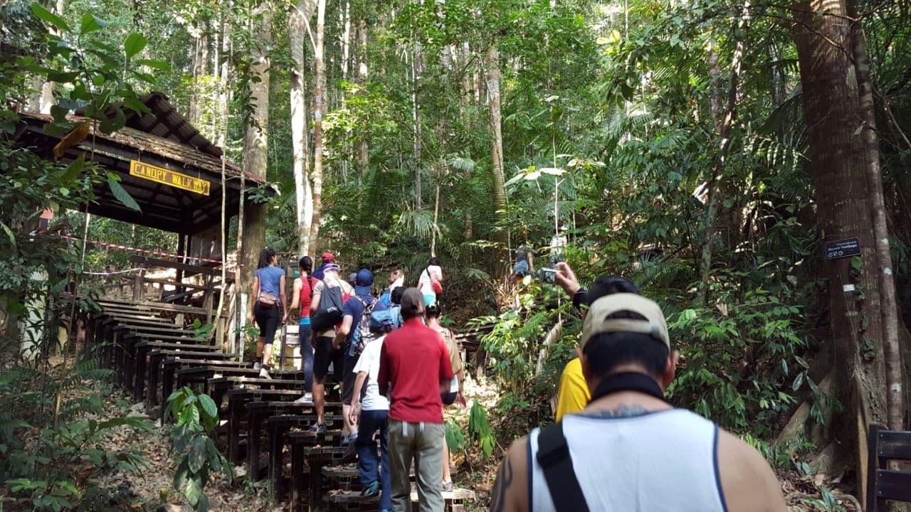 Taman Negara National Park Tour from Kuala Lumpur - تصویر 3