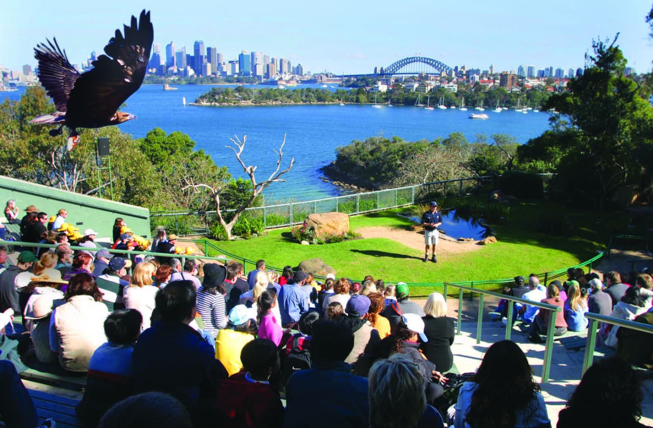 Captain Cook Sydney Harbour Explorer Hop-on Hop-off Cruise - تصویر 7