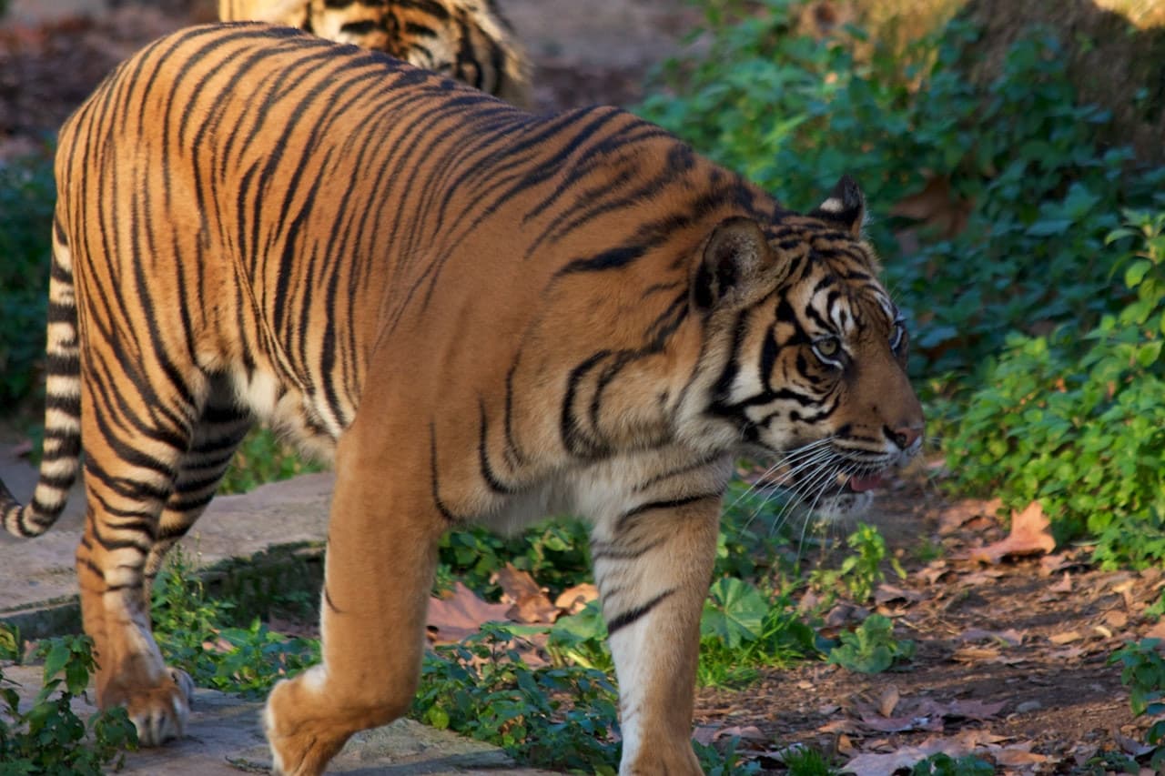Barcelona Zoo - تصویر 10