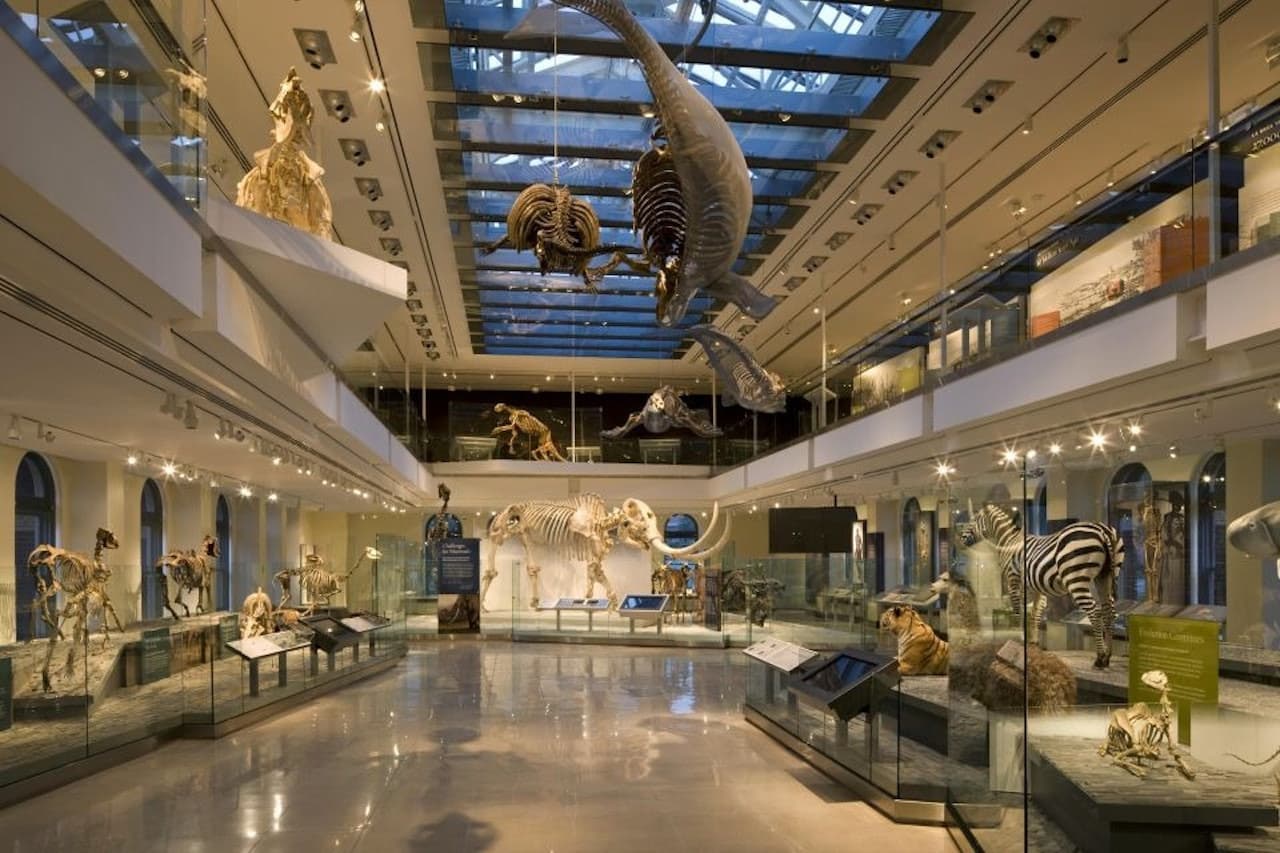 Natural History Museum of Los Angeles County - تصویر اصلی