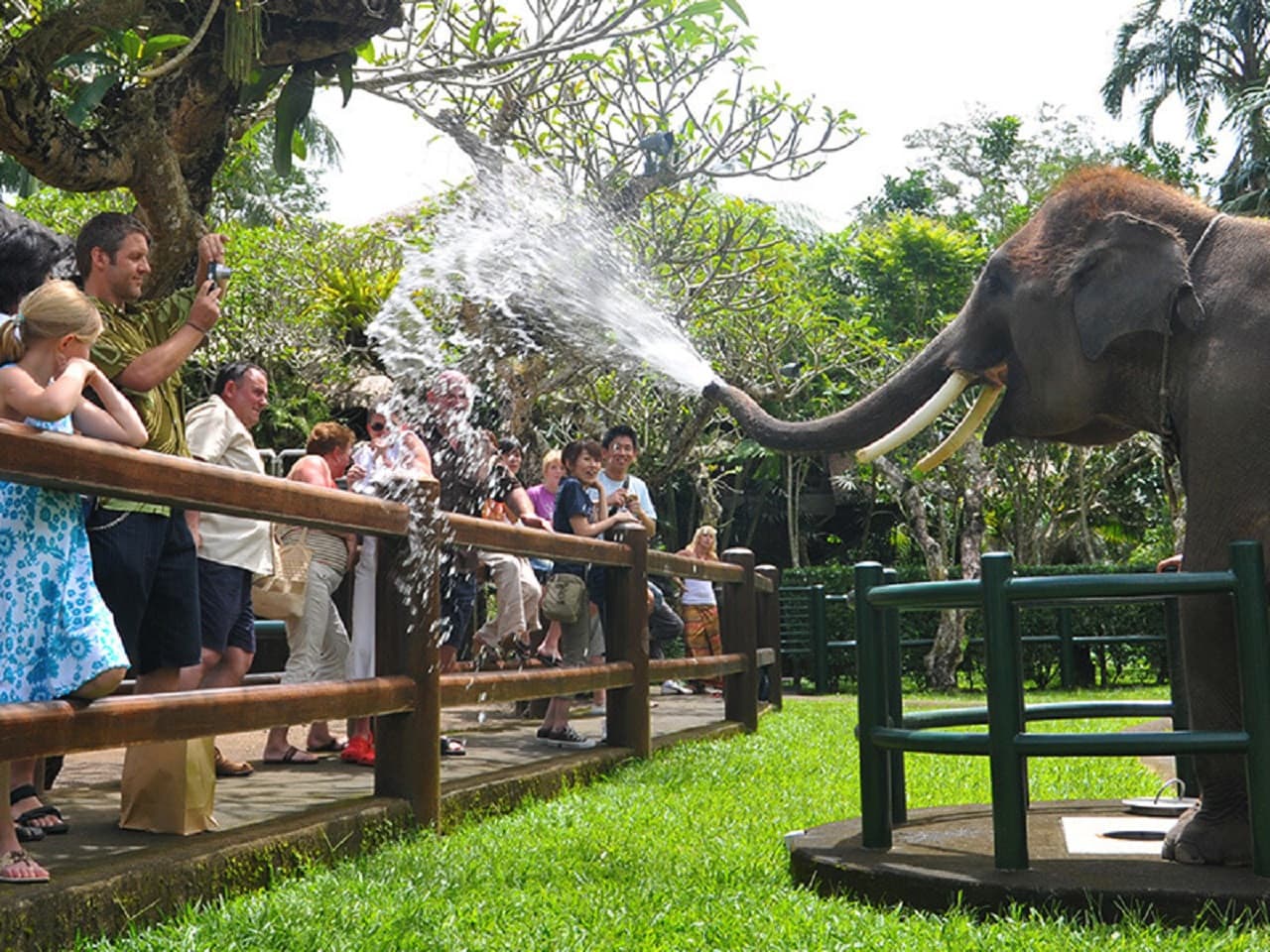 Mason Elephant Park Bali by Mason Adventures (Formerly known as Elephant Safari Park) - تصویر 6
