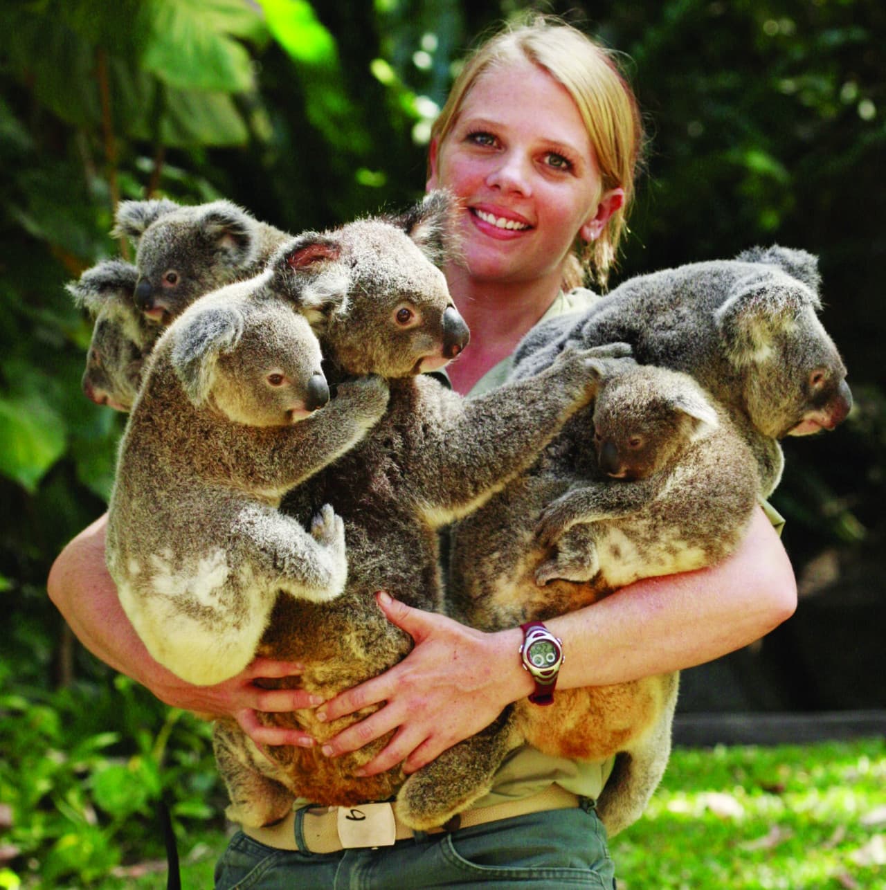 Kuranda Koala Gardens - تصویر 7