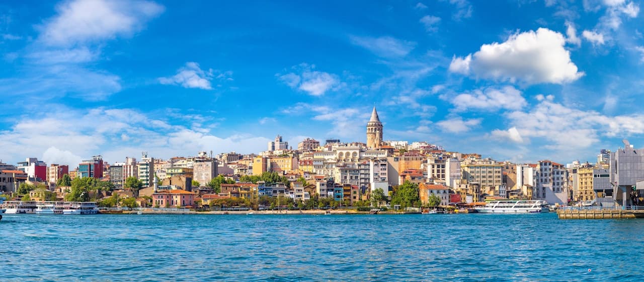 Golden Horn Sightseeing Bus Tour and Bosphorus Cruise - تصویر 2