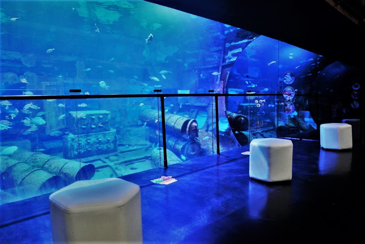 Aquaria Phuket - تصویر 6