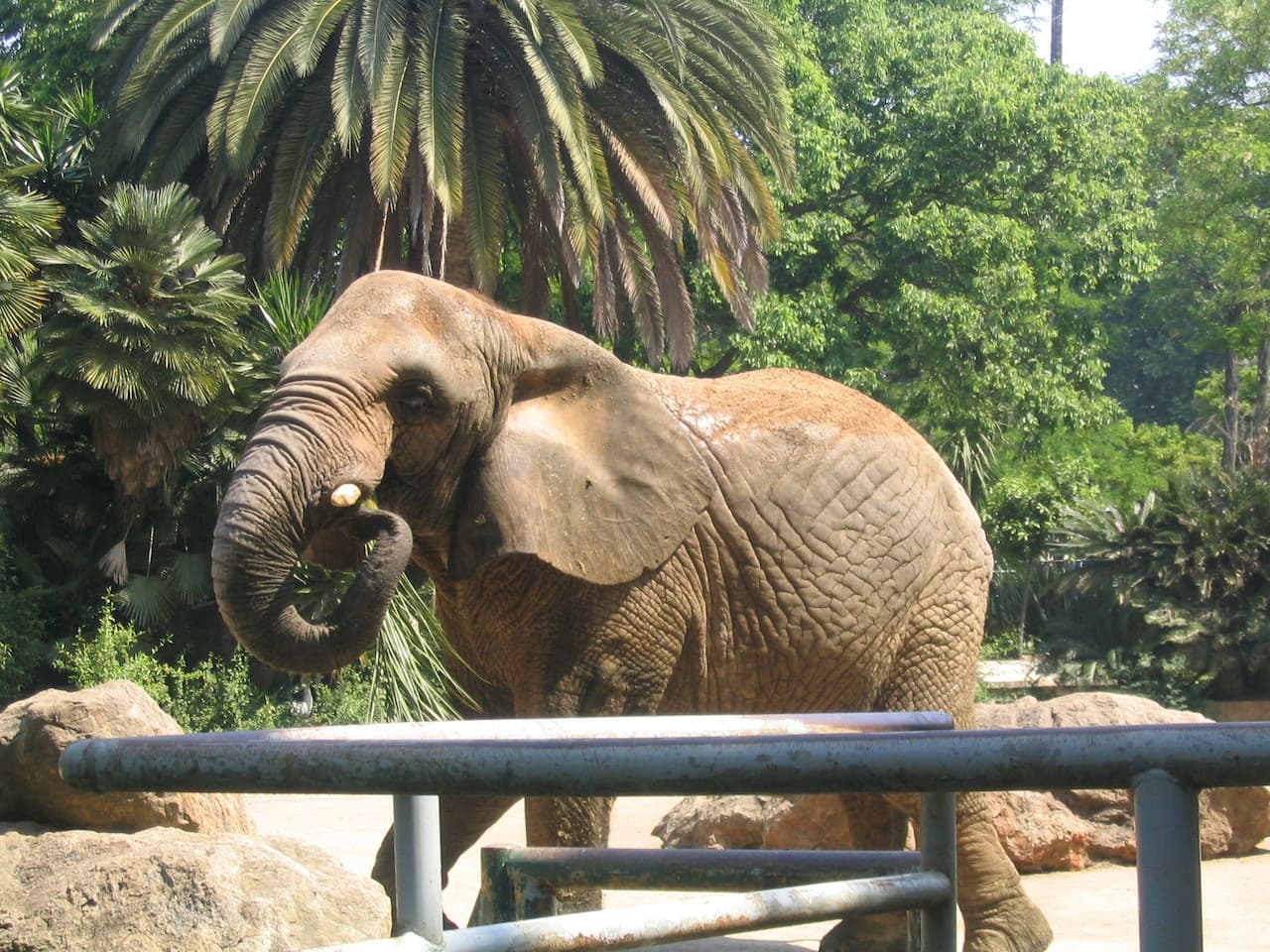 Barcelona Zoo - تصویر 8