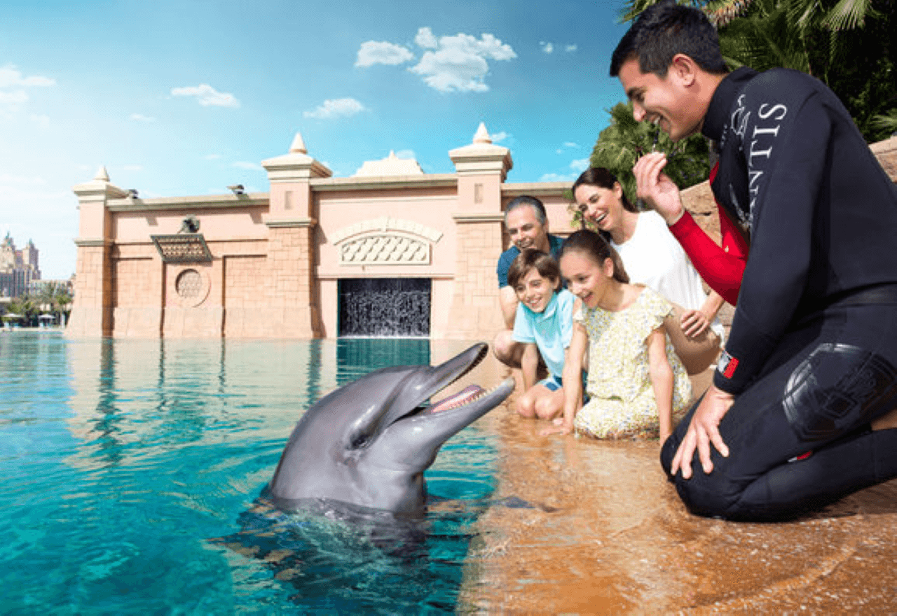 Atlantis Aquaventure World Dubai - Dolphin and Sea Lion Experiences at Atlas Village - تصویر 2