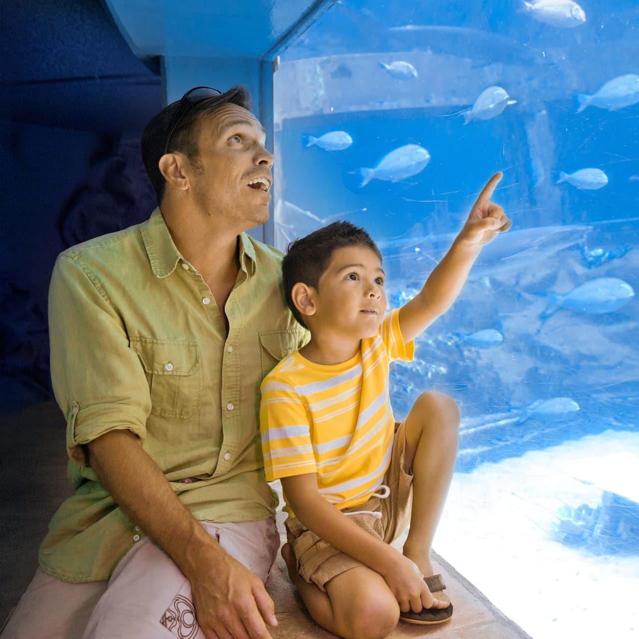 Sea Life Park Hawaii - تصویر 5