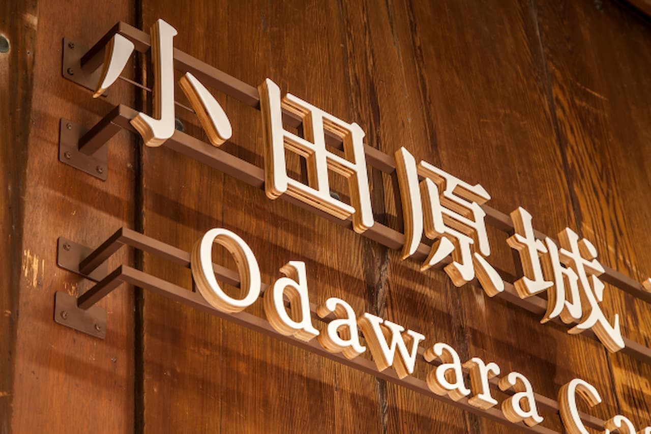 Odawara Castle Ticket - تصویر 4