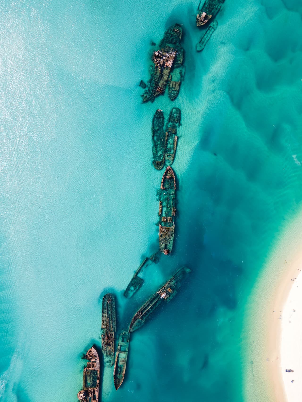 Moreton Island 1-Day Adventure Tour with Kayaking and Sandboarding - تصویر 5