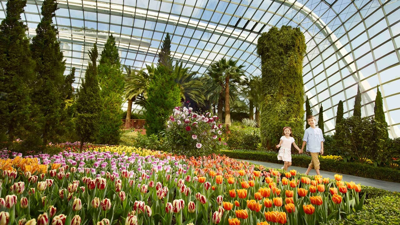 COMBO: Gardens by the Bay + Marina Bay Sands SkyPark Observation Deck + ArtScience Museum Tickets - تصویر 4