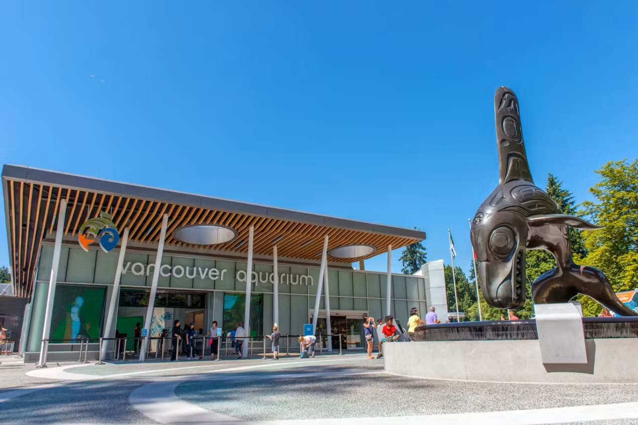 Vancouver Aquarium Ticket - تصویر 2
