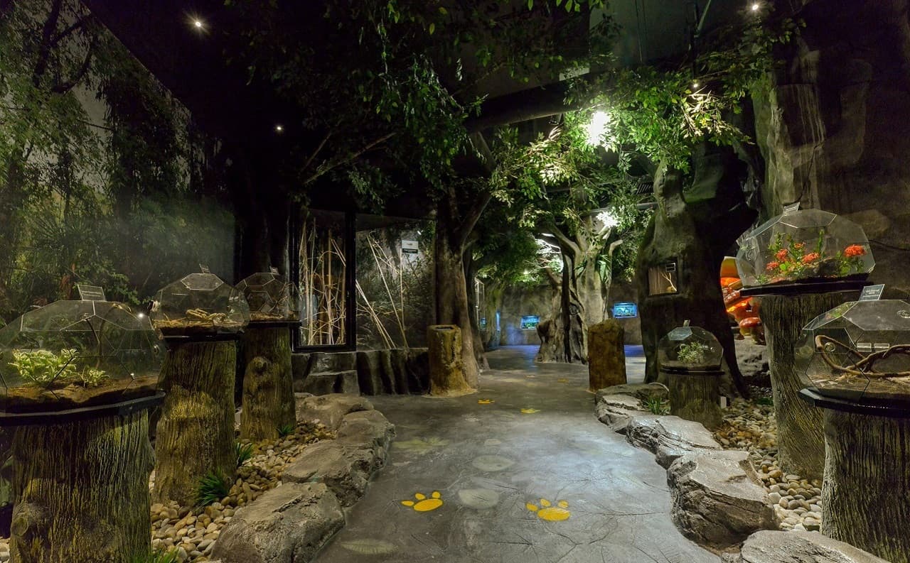 Entopia by Penang Butterfly Farm Ticket - تصویر 9