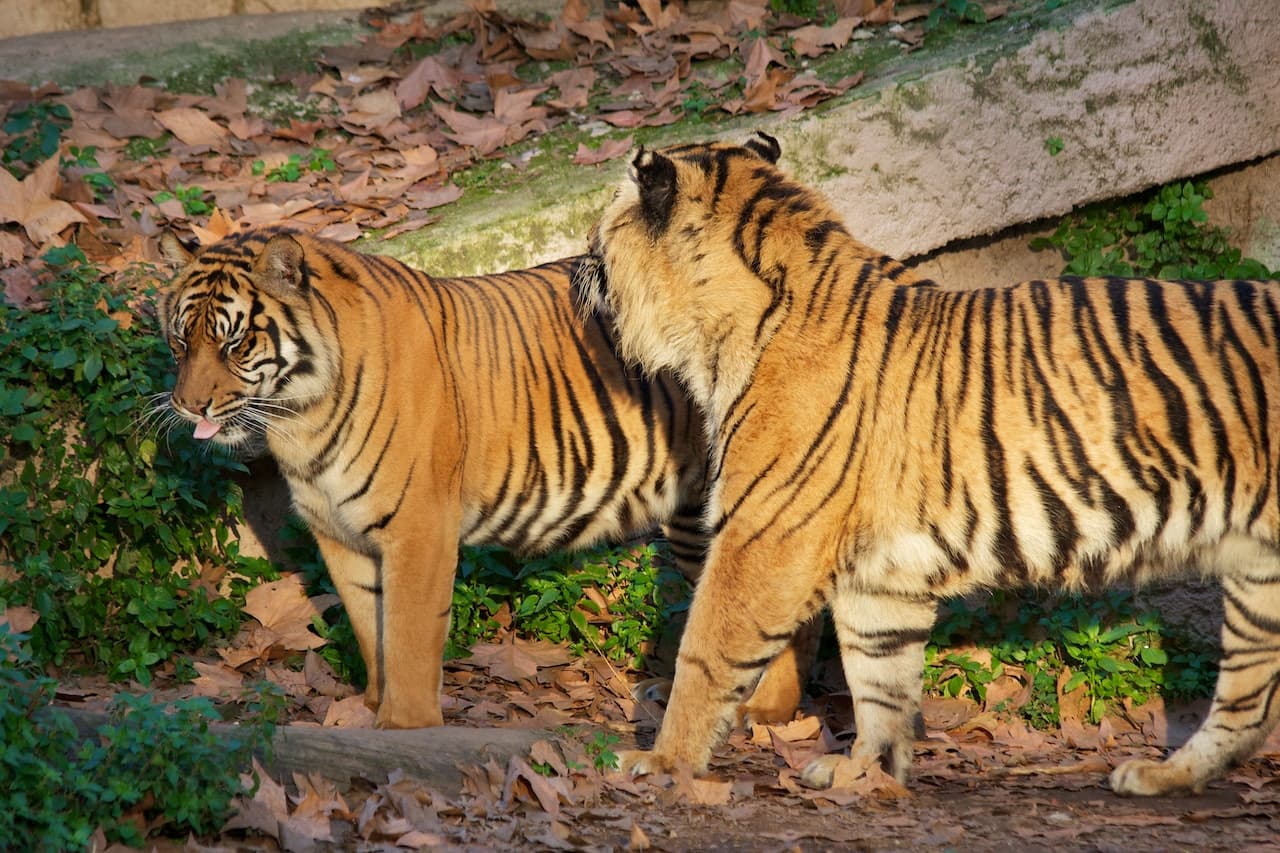 Barcelona Zoo - تصویر 11