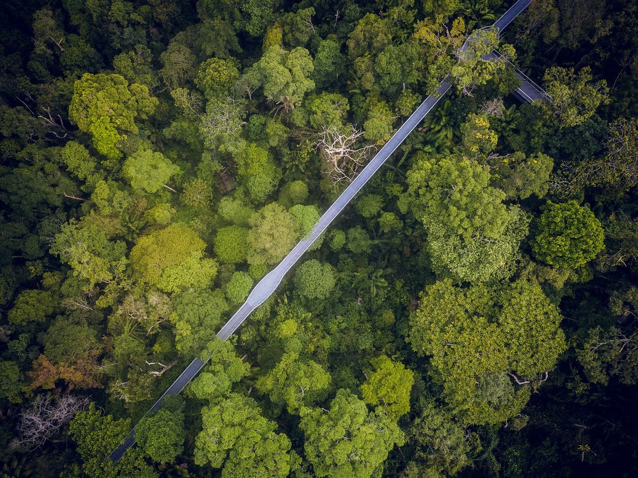 The Habitat Penang Hill Ticket - تصویر 4