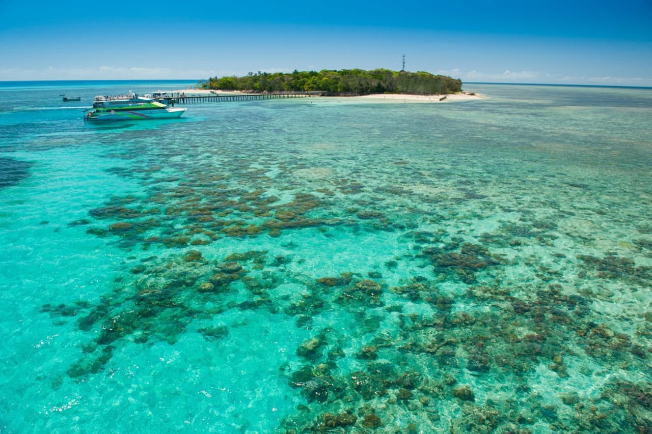 Green Island Reef Full-Day Cruise - تصویر 5