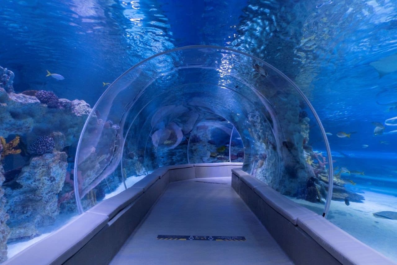 Emaar Aquarium and Underwater Zoo Ticket - تصویر 2