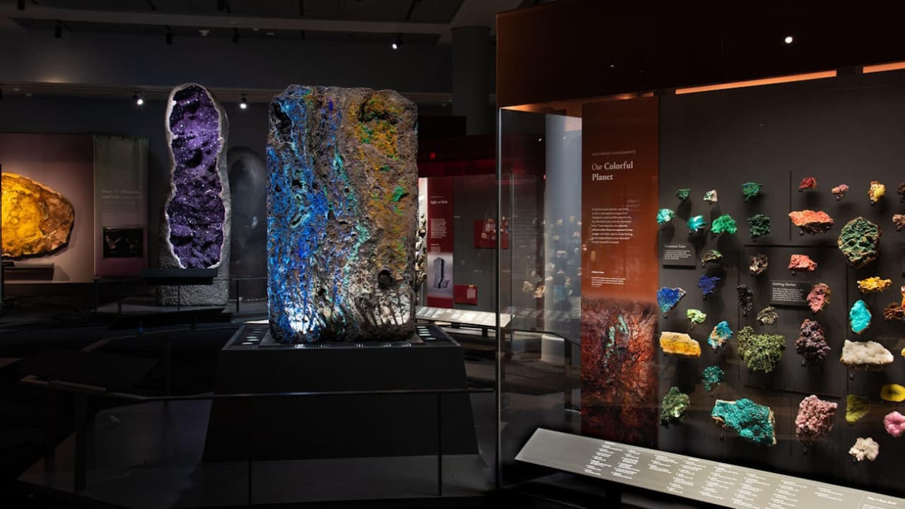 American Museum of Natural History Ticket - تصویر 10